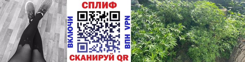 Бошки Шишки SATIVA & INDICA  купить наркотик  Лесозаводск 